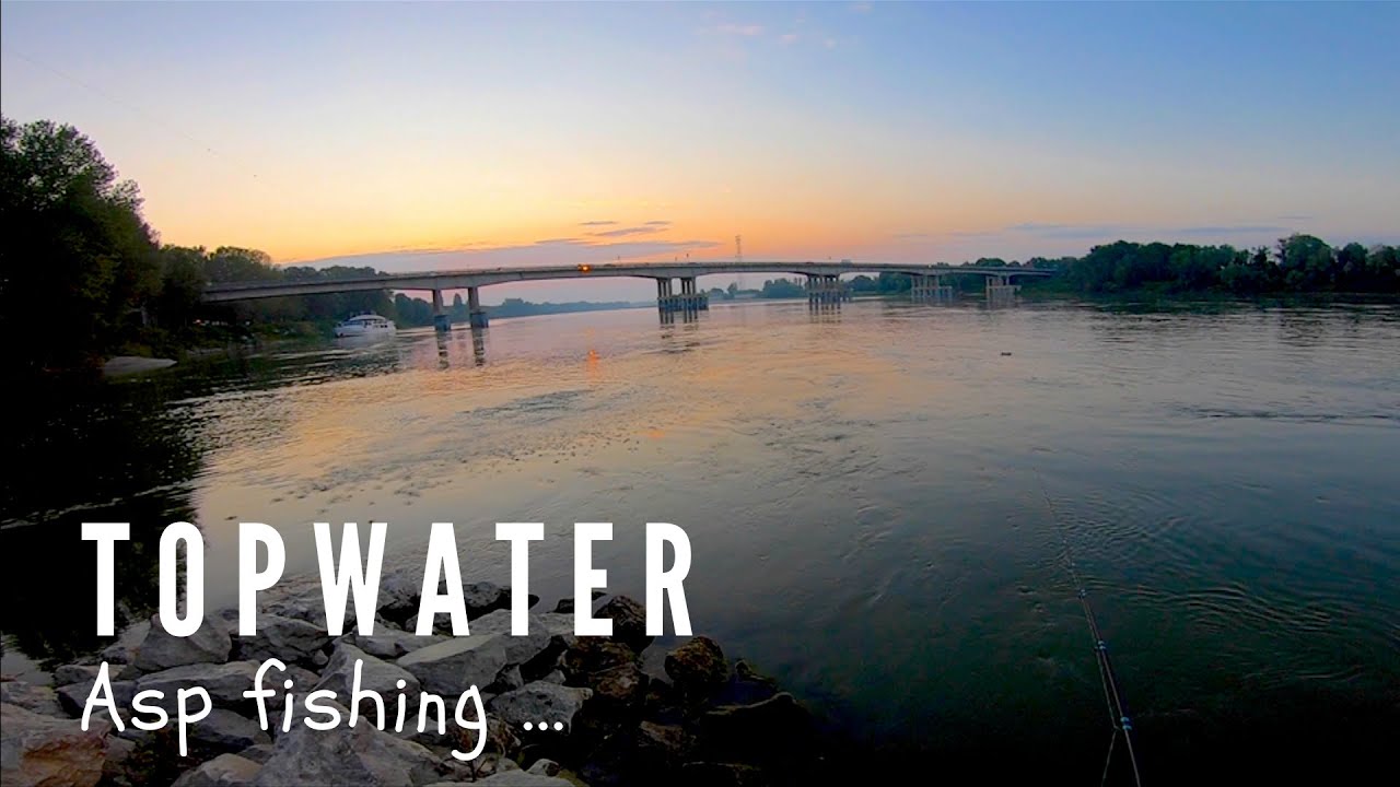 TOPWATER EXPLOSIONS while fishing for ASP ...