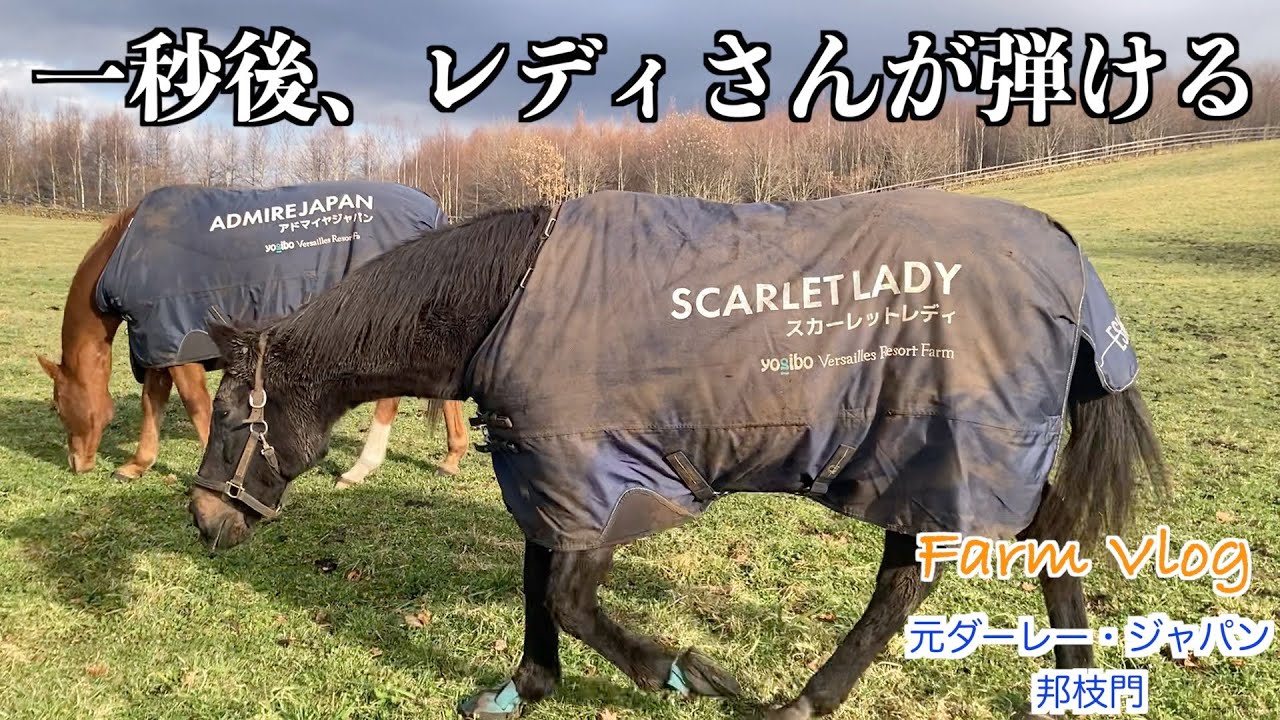 一秒後、レディさんが弾ける！？56選