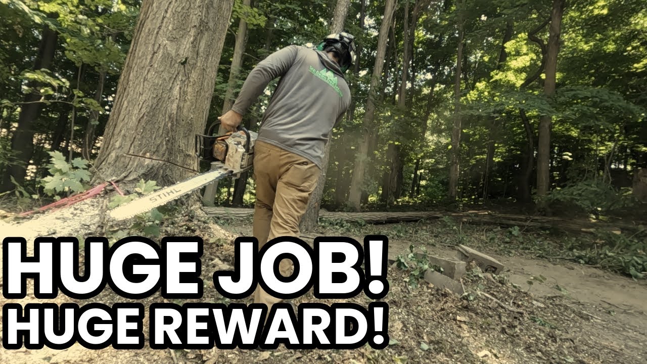 Small Tree Service Conquers a Massive Job