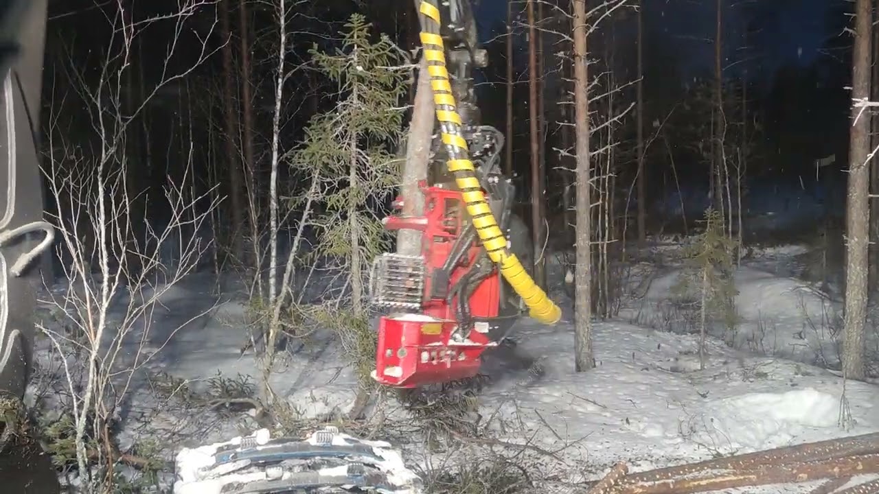 Prosilva s3 ja waratah 212
