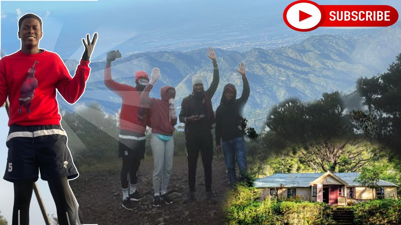 Hiking To The Highest Point In Jamaica (Blue Mountain Hike)