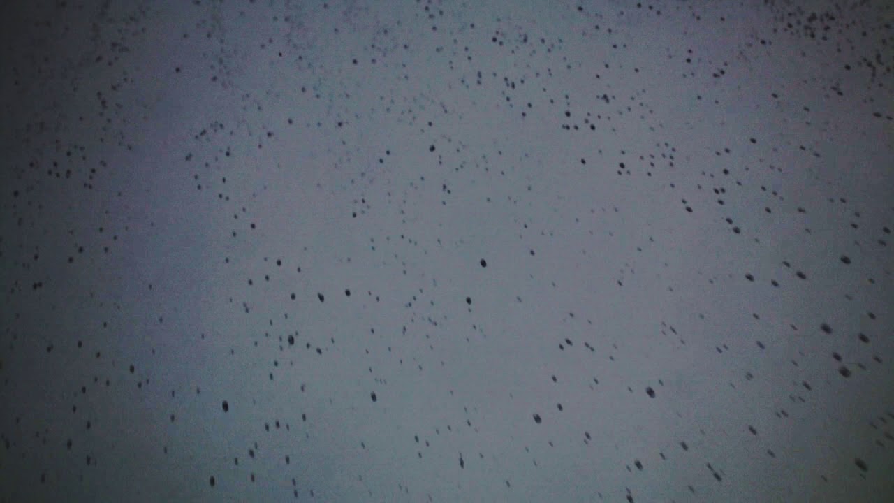 Canon m50 slow motion test.