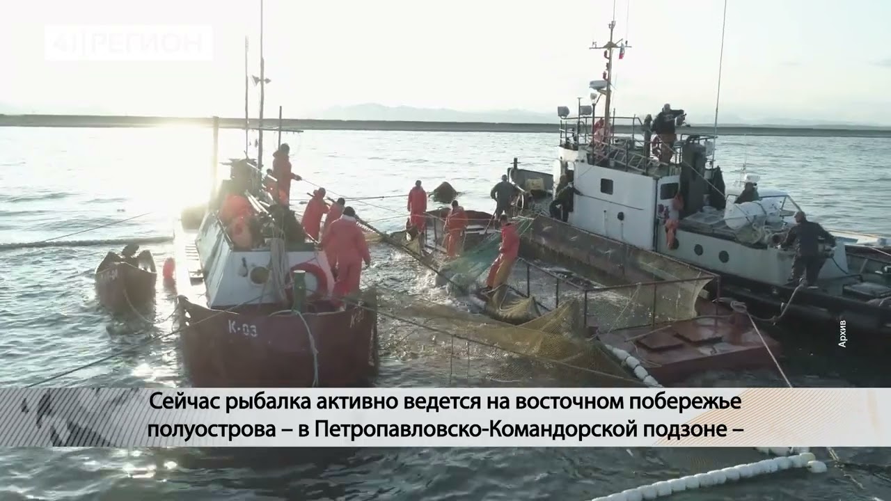 «КРАСНАЯ» ПУТИНА НА КАМЧАТКЕ: ХОД ХОРОШИЙ • НОВОСТИ КАМЧАТКИ