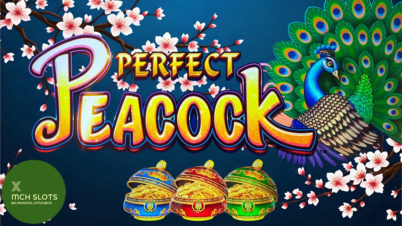 A Perfect Bonus Saved Us On Perfect Peacock!