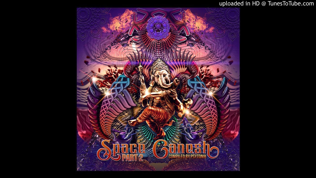 Fungus Funk - India