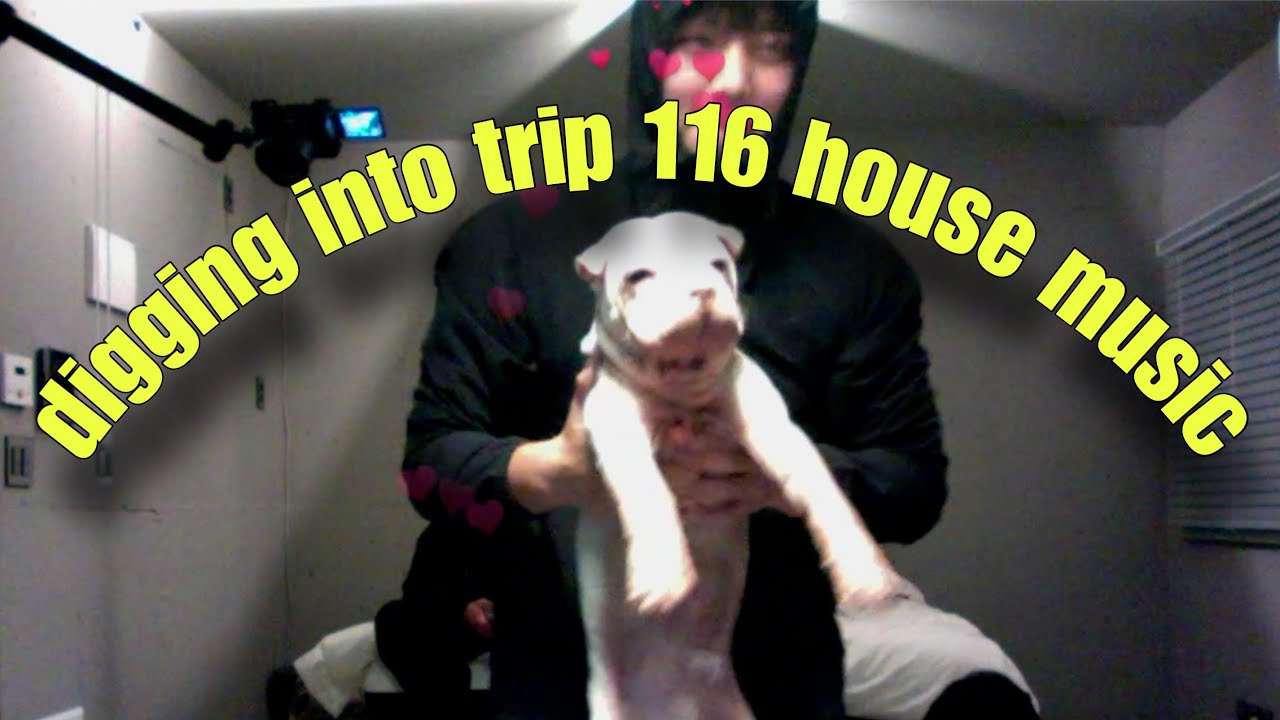 digging into trip 116 (하우스 뮤직 플레이리스트)