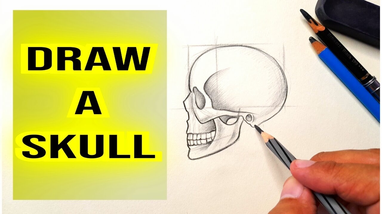 How to draw a Skull Side View Easy step by step | Drawing a Skull Sketch | Drawing Tutorial |Videos