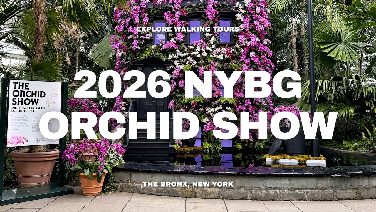 Experience NY's 2026 Orchid Show Tour | New York Botanical Garden