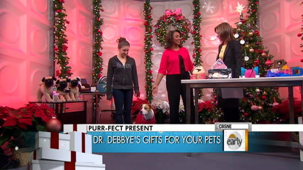 Holiday Gifts for Your Pet