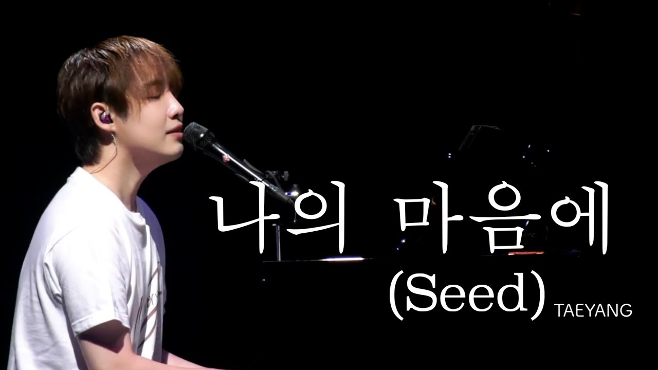 나의 마음에 (Seed) - 태양 TAEYANG 【LIVE】Cover カバー 歌詞付き 韓国語 日本語
