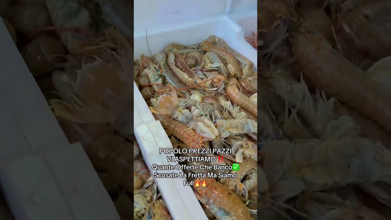 POPOLO PREZZI PAZZIVI ASPETTIAMO ‼️Quante Offerte Che Banco✅Scusate La Fretta Ma Siamo Full🔥🔥