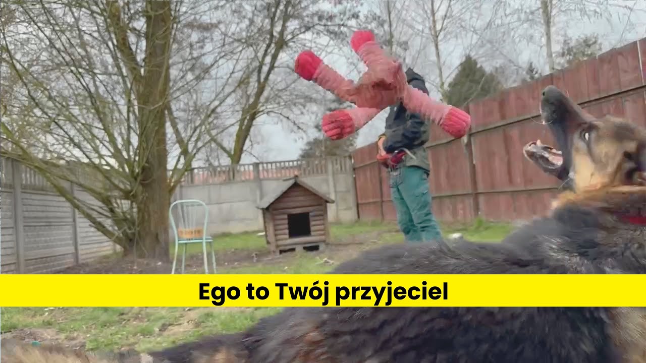 Walka z ego i nauka kagańca