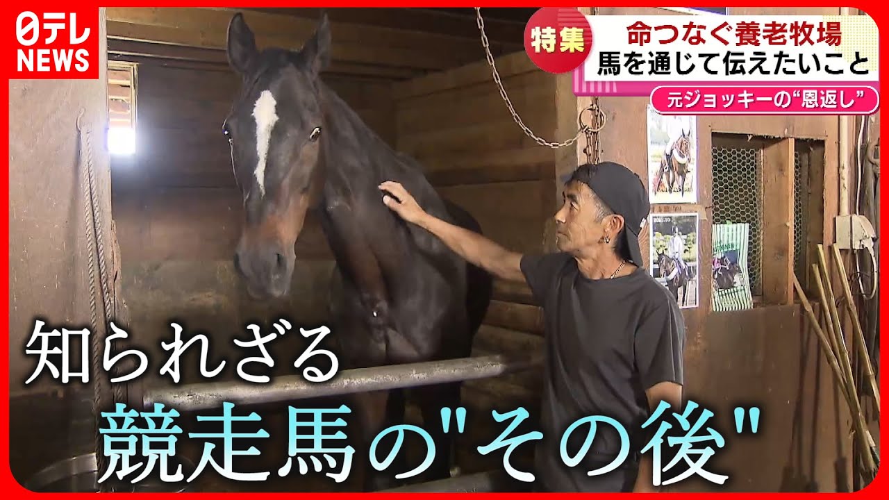 【馬と命】殺処分を免れ…  引退馬と伝える”命” 元ジョッキーの思い　新潟　NNNセレクション