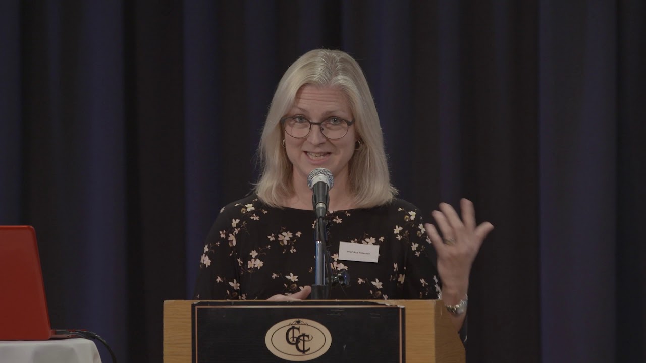 Professor Åsa Petersén, HDAI / HDANI Joint Conference, 29/09/2018