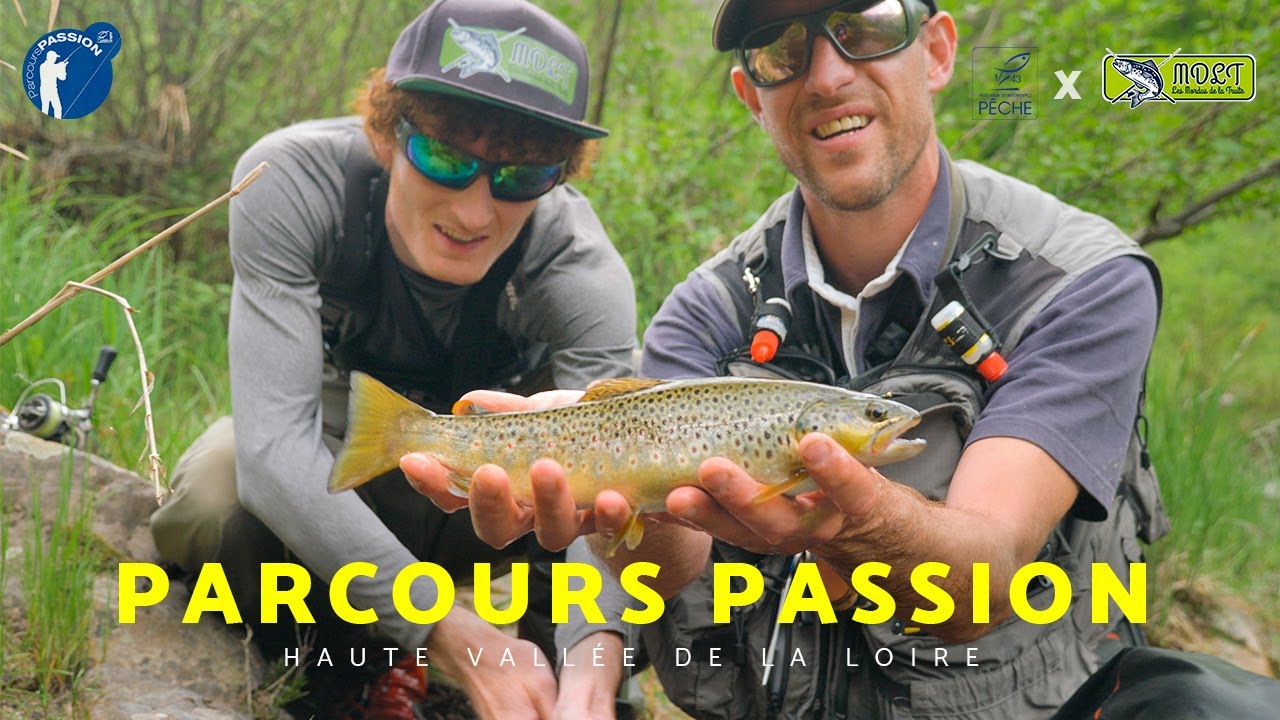 À la découverte de la Loire sauvage : Le parcours passion