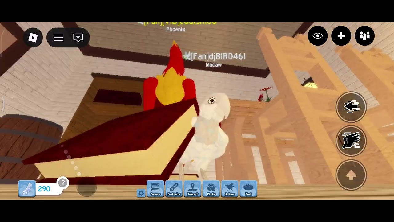 Playing feather family with stary