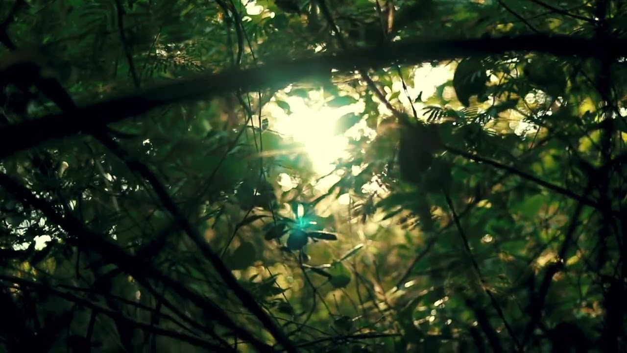 Guiã | Terra Cabula feat. Tronco de Angico - Visualizer
