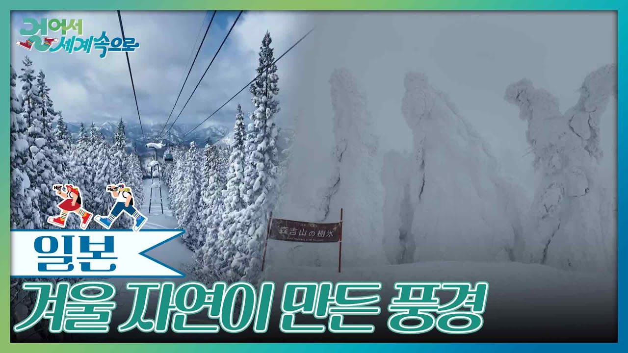 겨울 자연이 만든 풍경 ‘스노우 몬스터’ [걸어서 세계속으로] | KBS 260314 방송