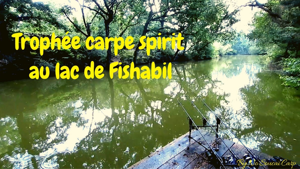 Trophée carpe spirit au lac de Fishabil