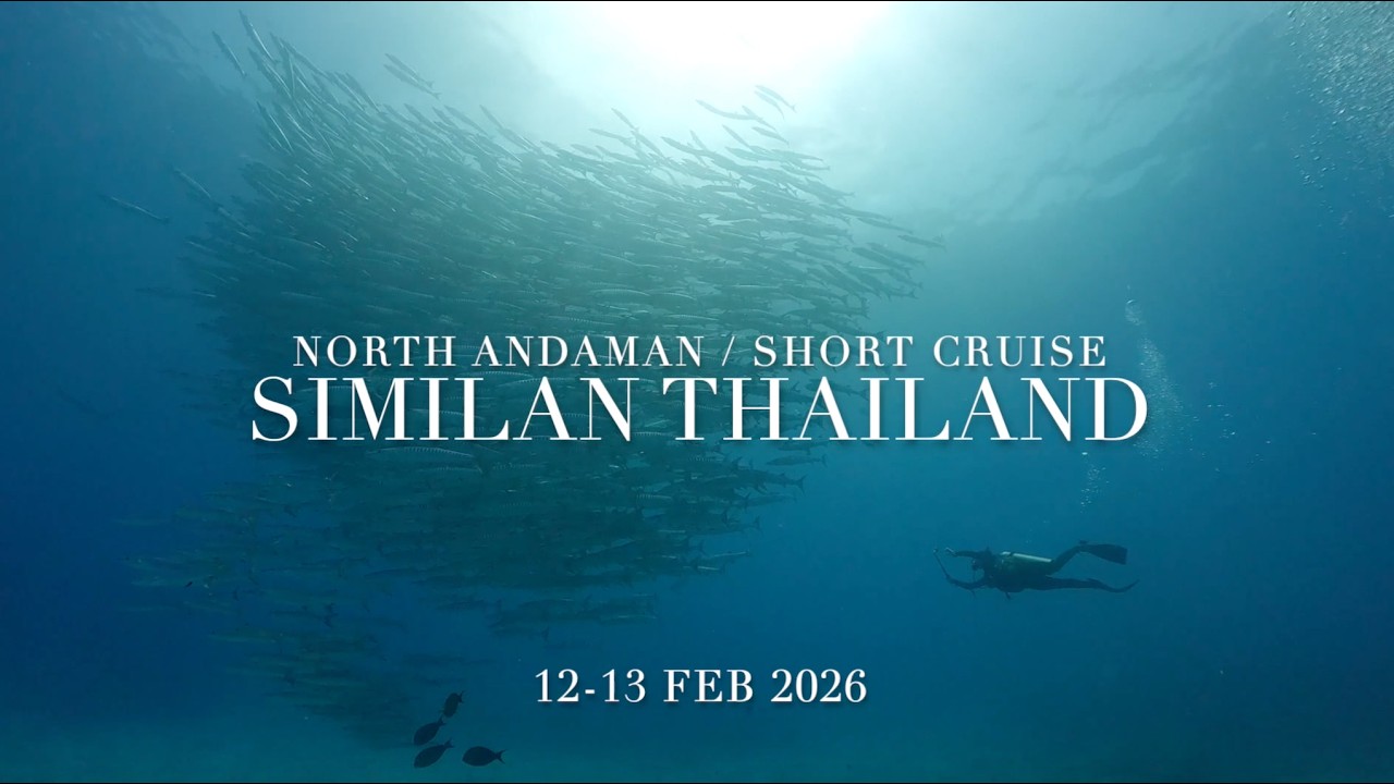 12-13 FEB 2026 | NORTH ANDAMAN SHORT CRUISE | MV KOON9