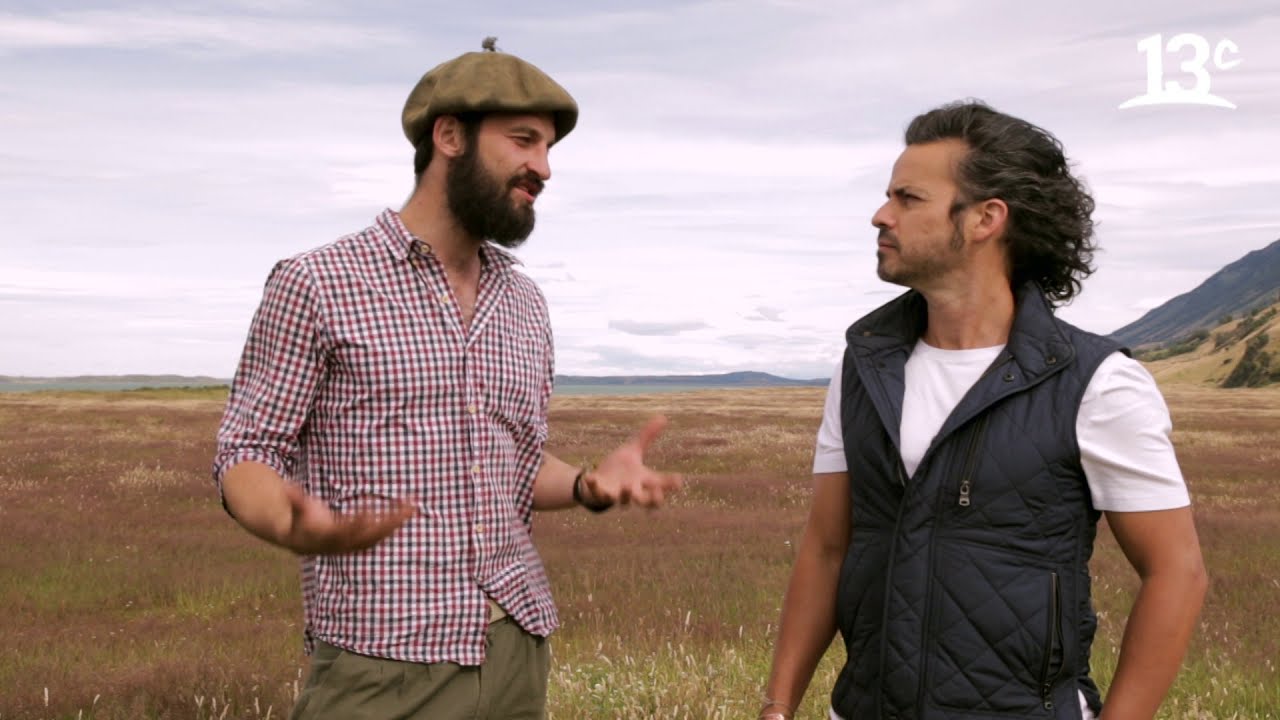Perros pastores y esquila de ovejas en Puerto Natales | Carlo Cocina