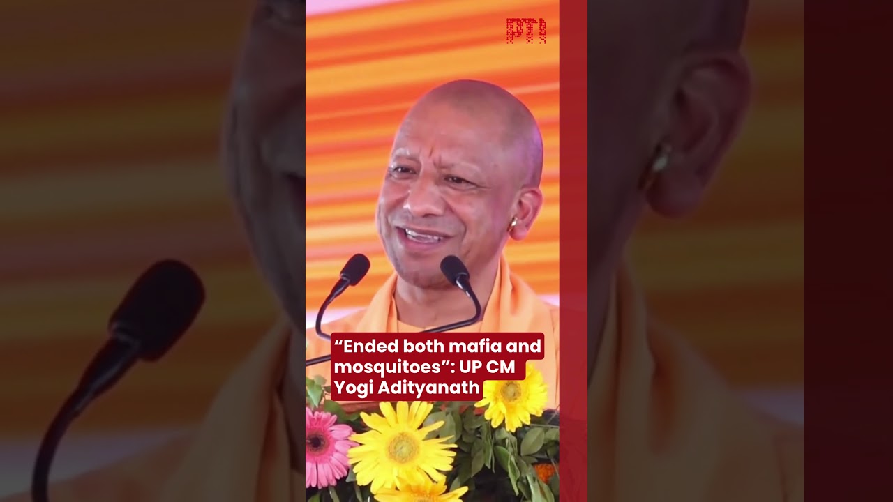 &ldquo;Ended both mafia and mosquitoes&rdquo;: UP CM  Yogi Adityanath