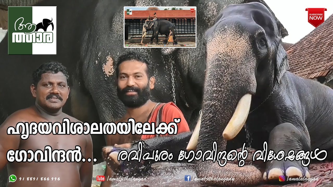 Ravipuram Govindhan|രവിപുരം ഗോവിന്ദൻ ഹൃദയ വിശാലതയിലേക്ക്|aanatthaara|ആനത്താര|