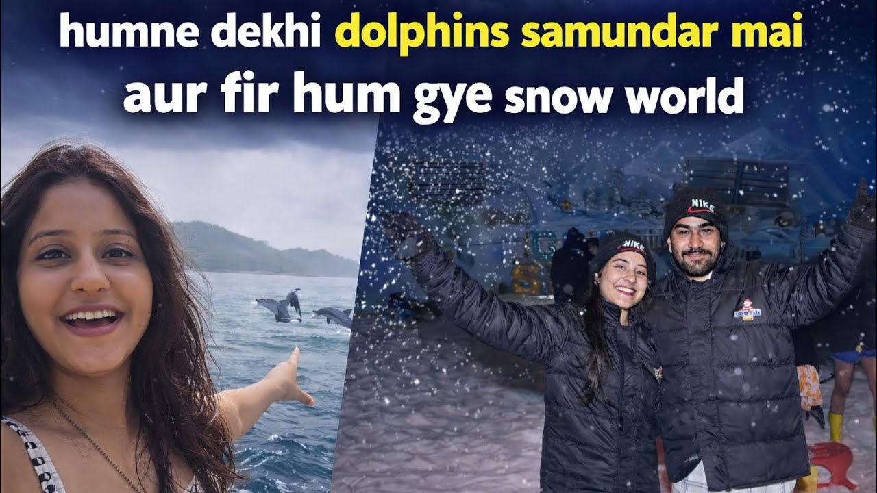 Dolphins🐬 in Candolim beach 🏝️