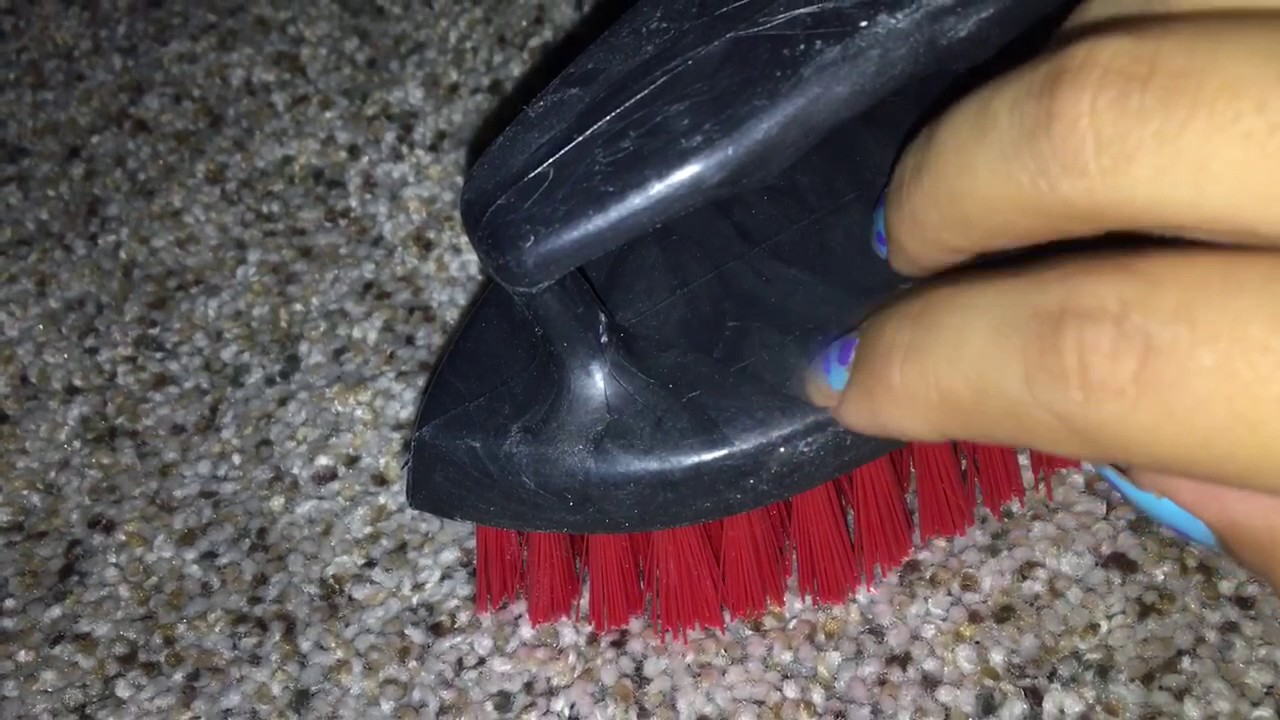 ASMR: Carpet Scrubbing, Brushing, & Scratching