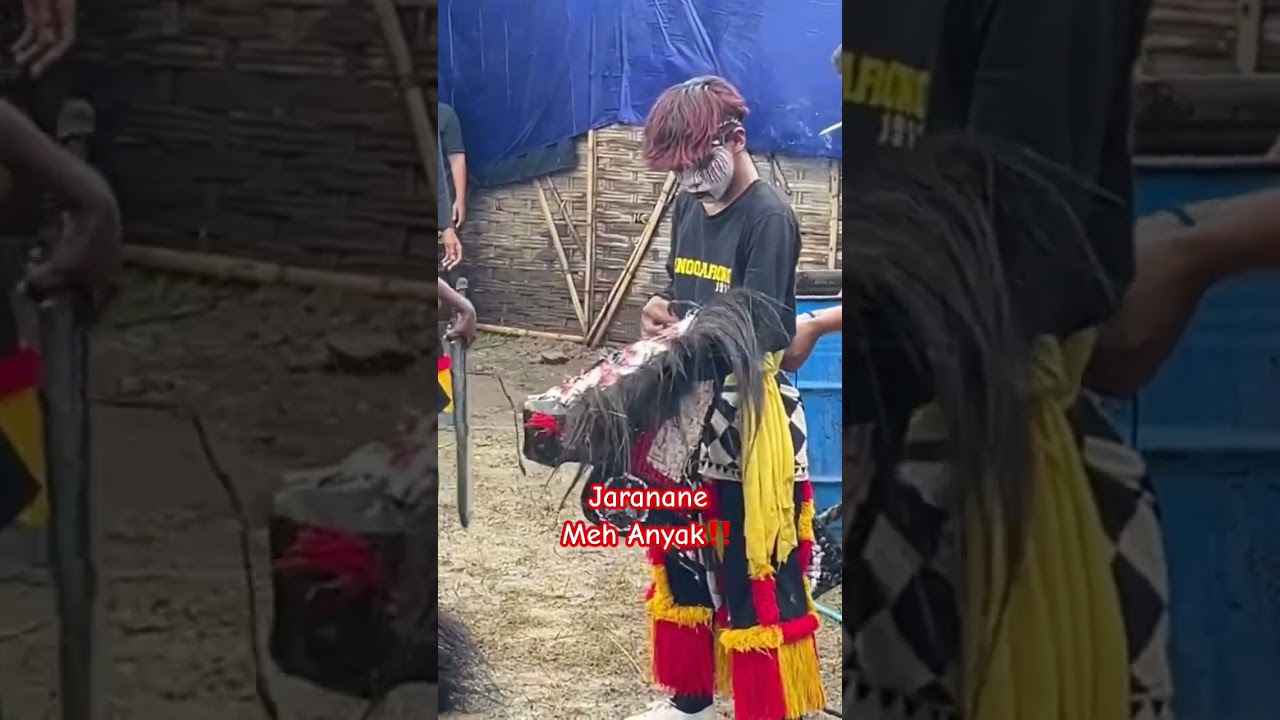 Jaranane Meh Anyak‼️ 
