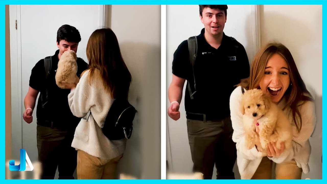 New Puppy Surprise 🐶 When a New Puppy Changes Everything!💕