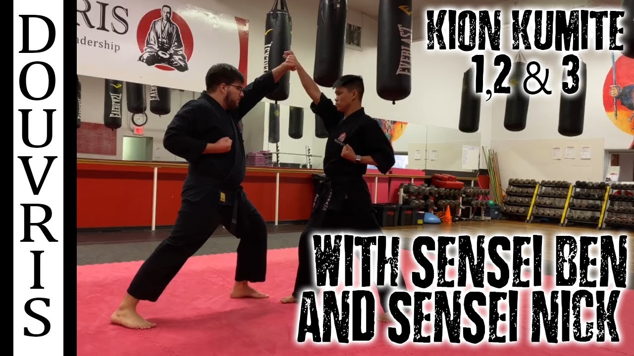 Yellow Belt Adults: Kion Kumite 1,2 & 3 - DOUVRIS ORLEANS