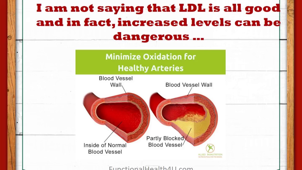 Functional Health - What about cholesterol (and essential fatty acids)?