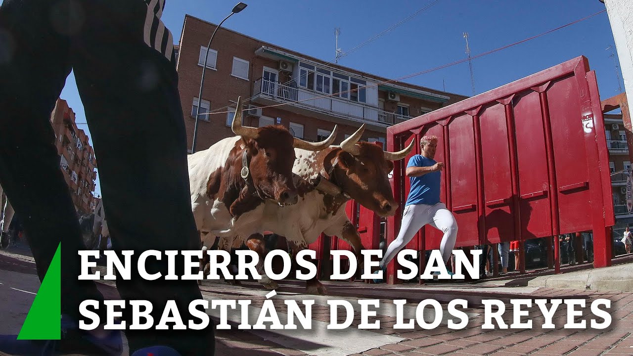 Un herido en el primer encierro de San Sebastián de los Reyes (Madrid)