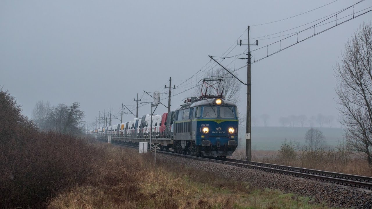 Pociągi towarowe na linii 181 [2021]