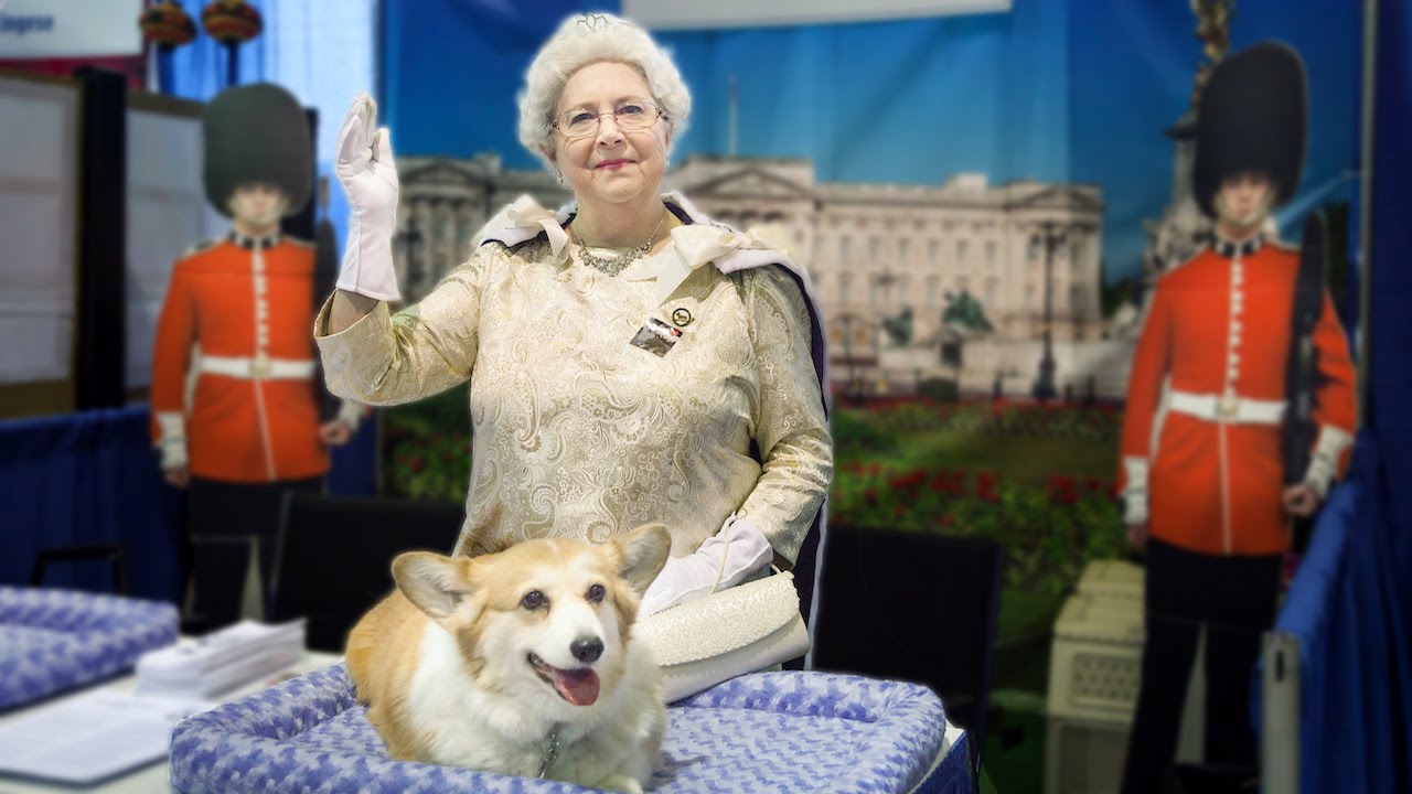 Meet The Breeds: Owners And Their Dogs Dress Up For Dog Show