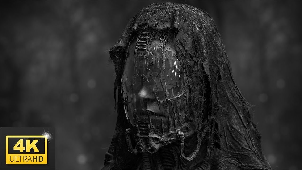 Black Metal 2024 Q2
