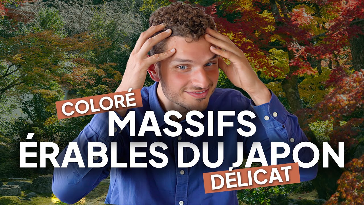 ÉRABLES DU JAPON en MASSIFS : Inspirations, Aménagements, Conseils Jardin...
