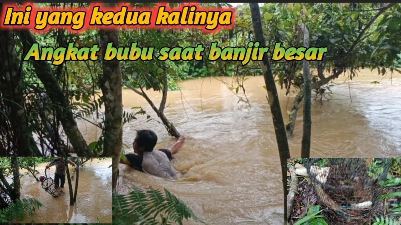 Walaupun banjir besar dan berarus peria ini tanpa ragu ragu turun ke sungai angkat bubunya