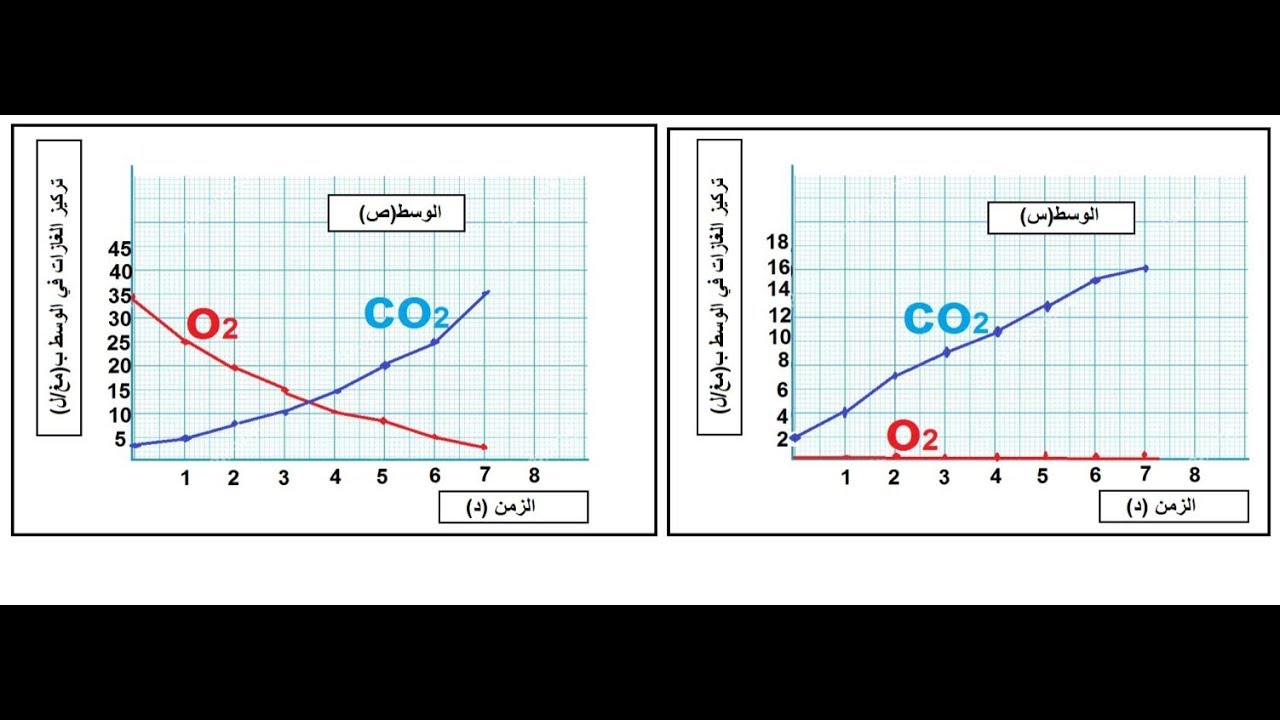 حل تمرين حول التنفس الخلوى والتخمر للسنة الرابعة متوسط