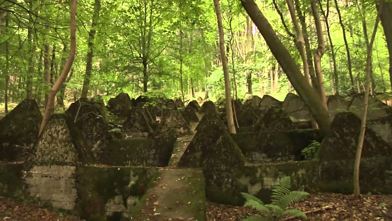 Finding Dragon's Teeth in Lamsborn, Germany