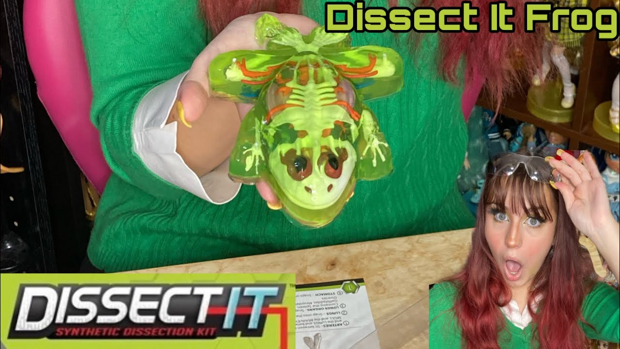 Набор для препарирования лягушек Dissect It. Синтетический набор для препарирования!