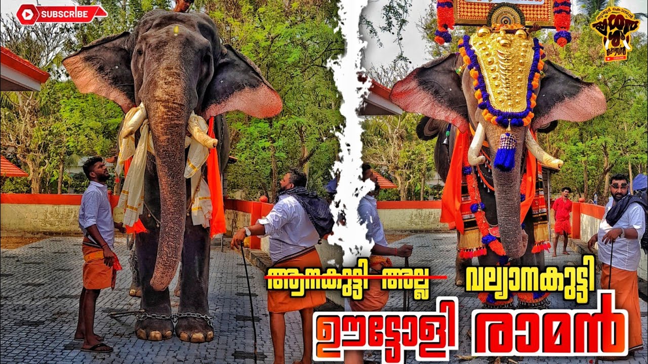 അമ്പോ എന്താ വല്യാനകുട്ടി | ഊട്ടോളി രാമനും ഇക്കയും പീച്ചി അരുണും |  uttoly raman| aayiramkanni pooram