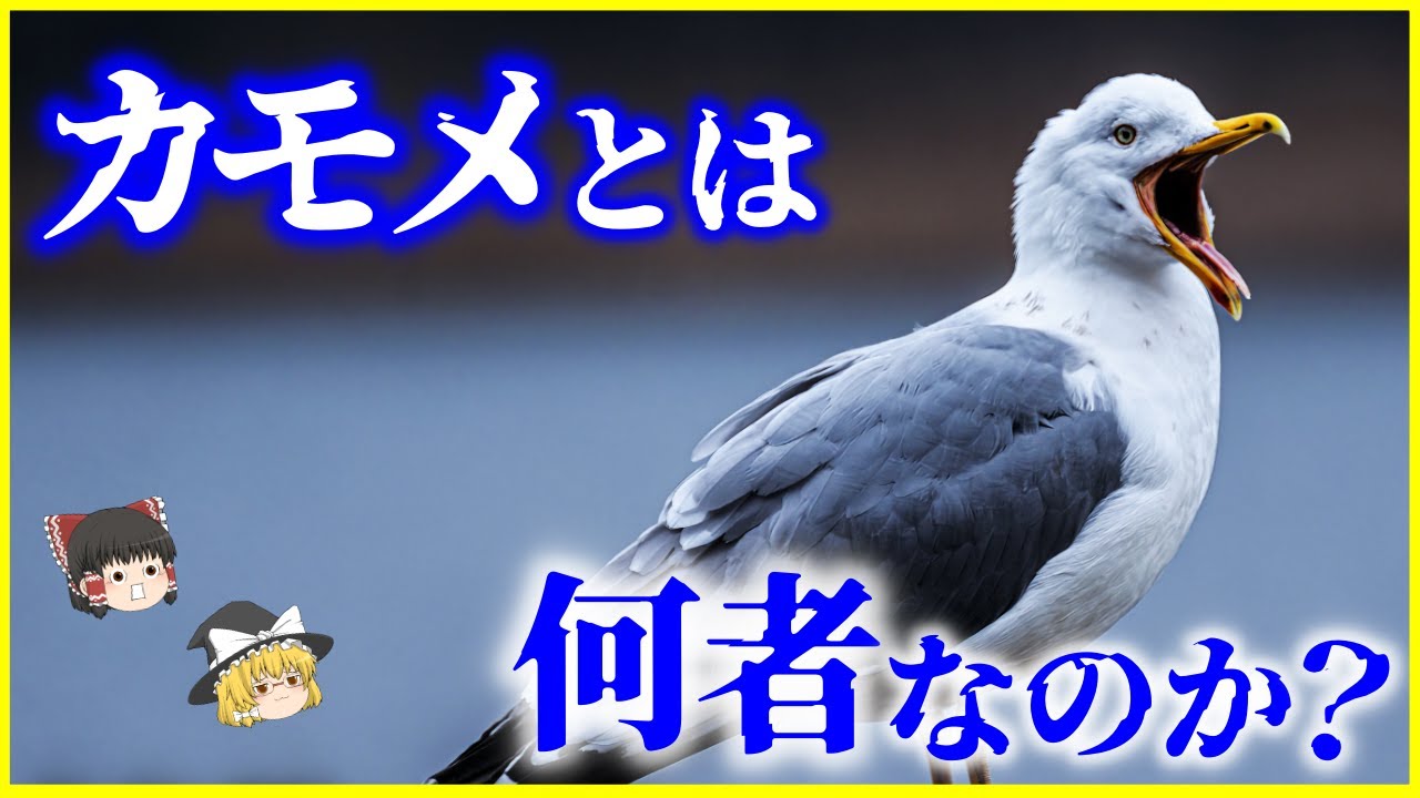 【ゆっくり解説】夏のカモメの正体は●●⁉「カモメ」とは何者なのか？を解説/カモメとウミネコとの違いは？