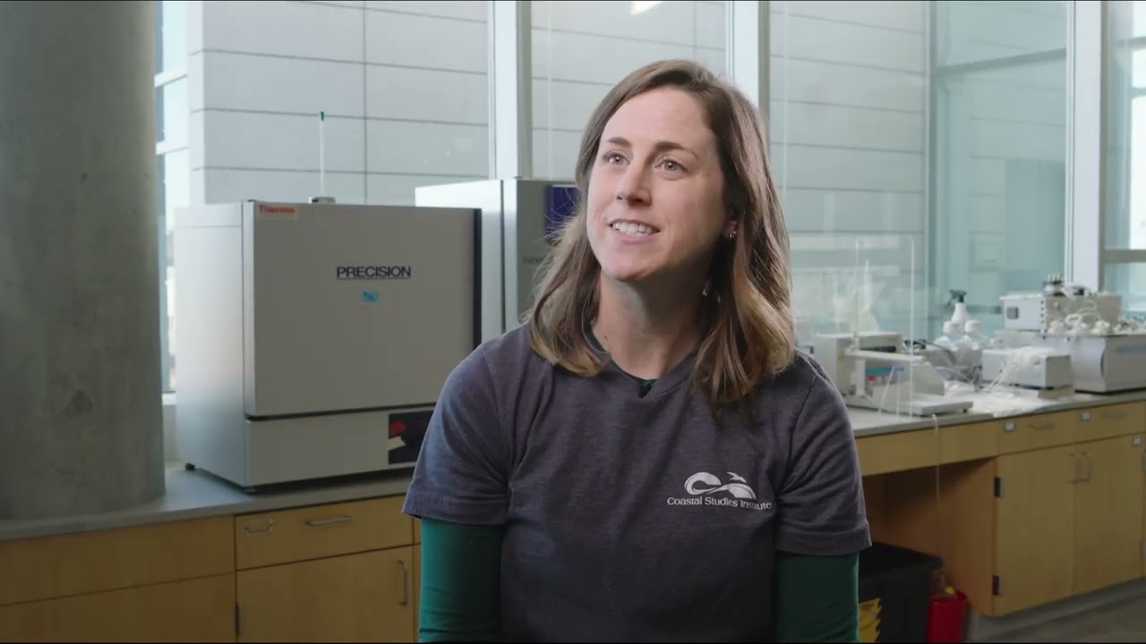 Environmental Assessments and Monitoring for Renewable Ocean Energy