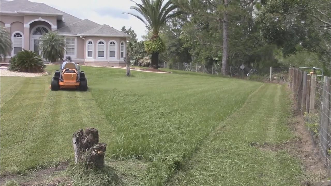 Satisfying mowing huge bahia yards in super timelapse with correct sound pitch