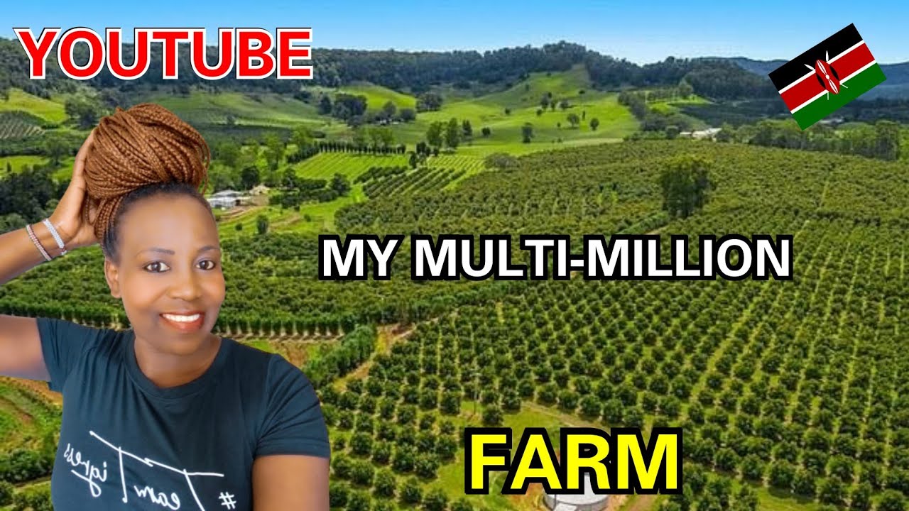 НАКОНЕЦ! Мой многомиллионный тур по ферме: YouTube или прибыльное фермерство в Африке?