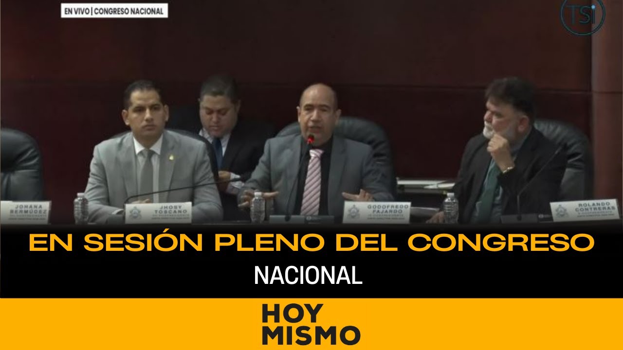 En sesión pleno del Congreso Nacional