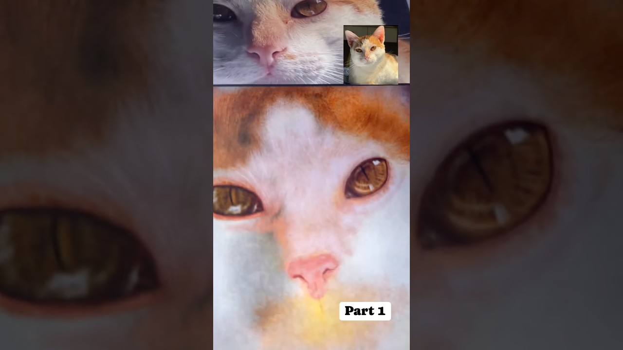 Digital Cat Sketch - Realism cia Huawei Matepad 