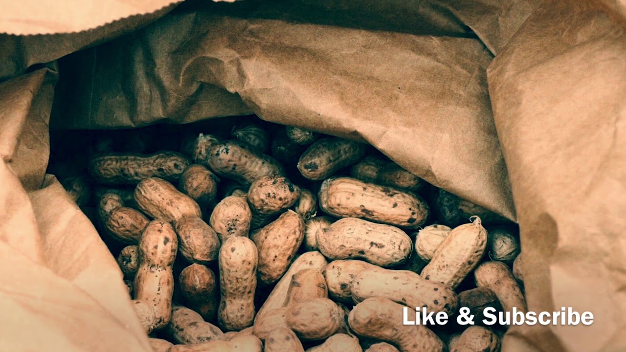 Cracking Peanuts Sound FX